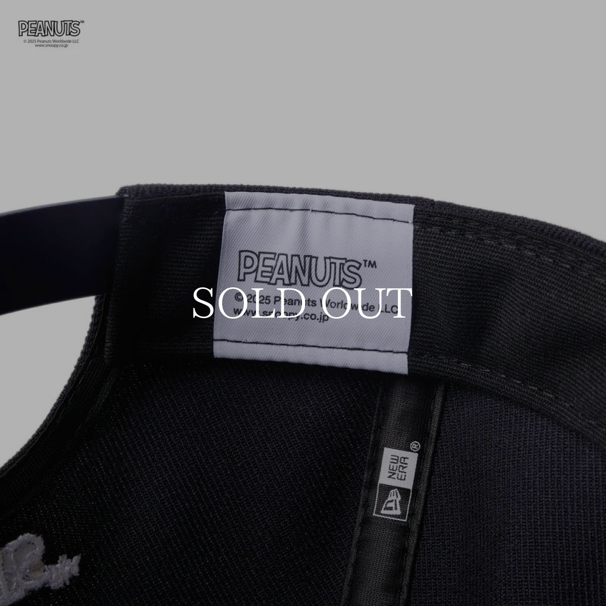 画像9: NEW ERA  9FORTY A-Frame PEANUTS ピーナッツ SWING SNOOPY ネイビー | ゴルフ (9)