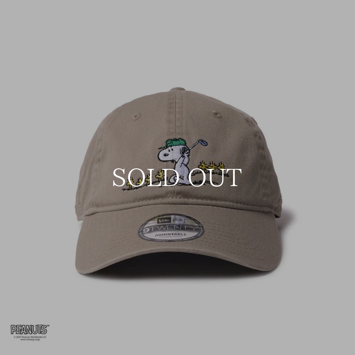 画像2: NEW ERA  9TWENTY ロングバイザー PEANUTS ピーナッツ スヌーピー ウッドストックと仲間たち ペブル | ゴルフ (2)