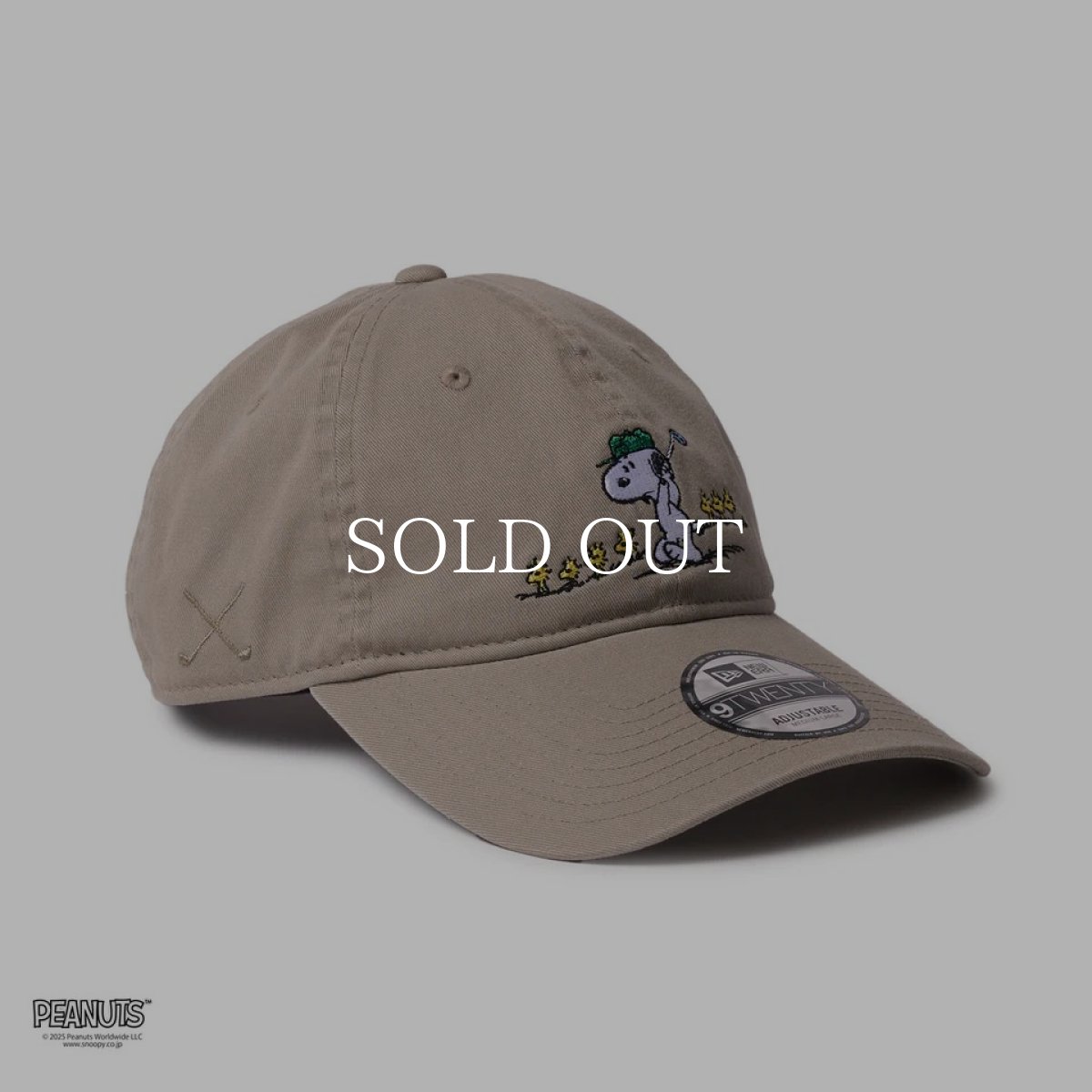画像3: NEW ERA  9TWENTY ロングバイザー PEANUTS ピーナッツ スヌーピー ウッドストックと仲間たち ペブル | ゴルフ (3)