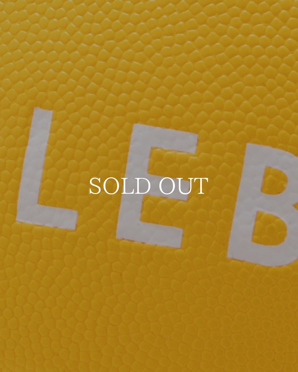 画像8: APPLEBUM  APPLEBUM × TACHIKARA CUSTOM BASKETBALL “Y.E.L.” (8)