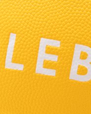 画像8: APPLEBUM  APPLEBUM × TACHIKARA CUSTOM BASKETBALL “Y.E.L.” (8)