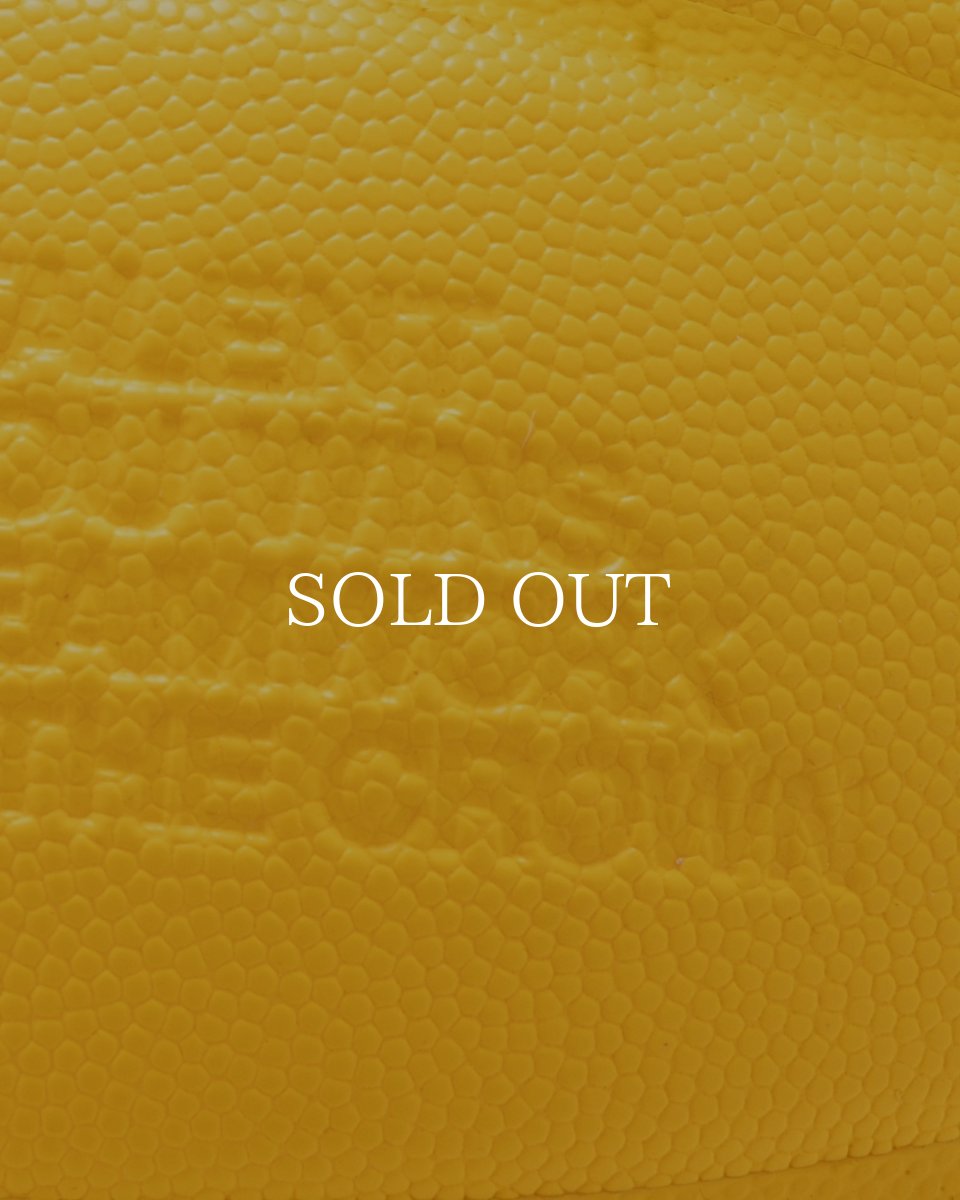 画像9: APPLEBUM  APPLEBUM × TACHIKARA CUSTOM BASKETBALL “Y.E.L.” (9)