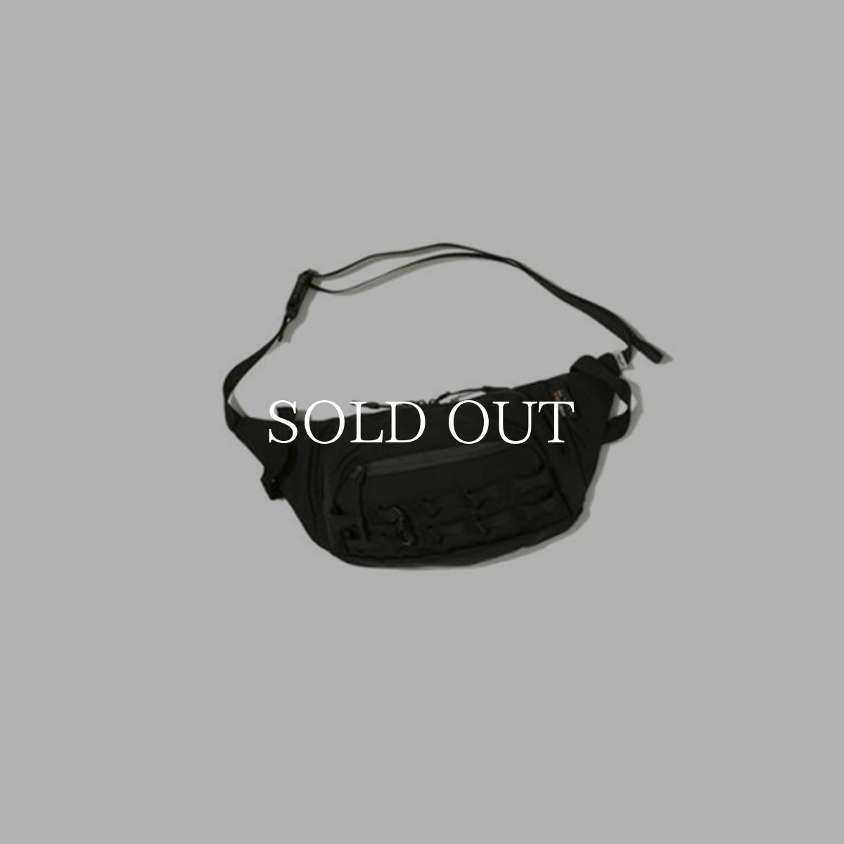 画像1: CMF OUTDOOR GARMENT  FANNY PACK BALLISTIC (1)
