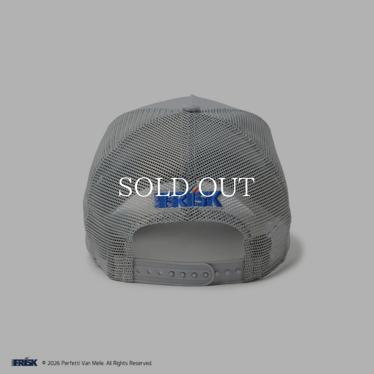 画像6: NEW ERA  9FORTY A-Frame トラッカー FRISK フリスク グレー (6)