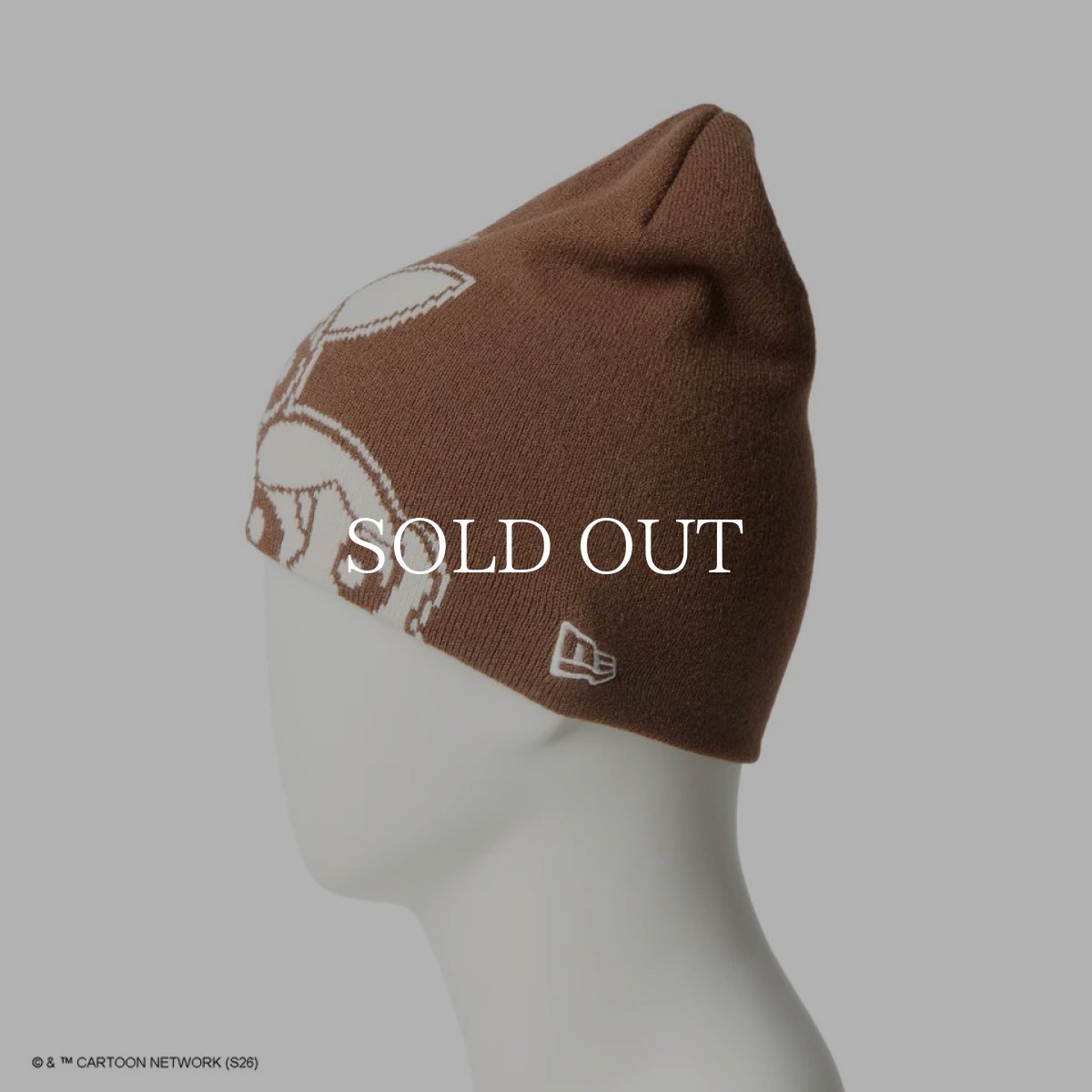 画像3: NEW ERA  ベーシックビーニー The Powerpuff Girls パワーパフ ガールズ ウォルナット (3)