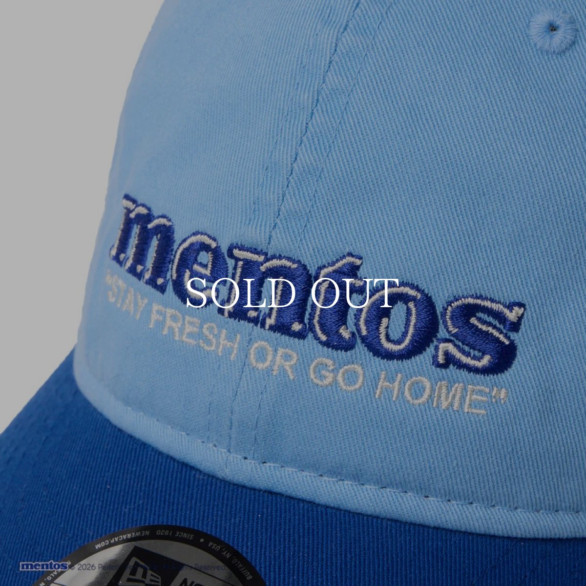 画像8: NEW ERA  9THIRTY mentos メントス 2-Tone スカイブルー/ライトロイヤル (8)