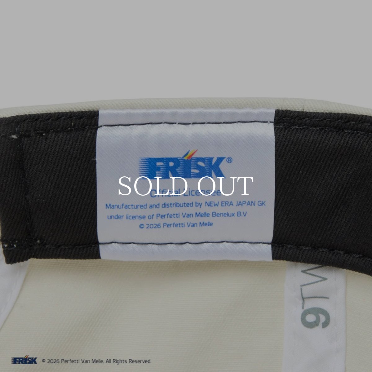 画像9: NEW ERA  9TWENTY FRISK フリスク アイボリー (9)