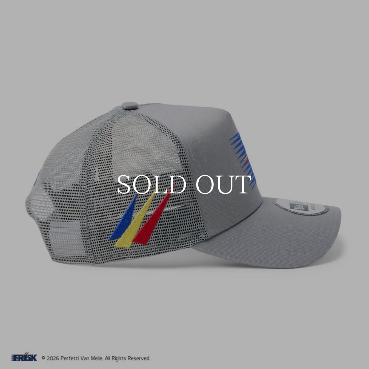 画像3: NEW ERA  9FORTY A-Frame トラッカー FRISK フリスク グレー (3)