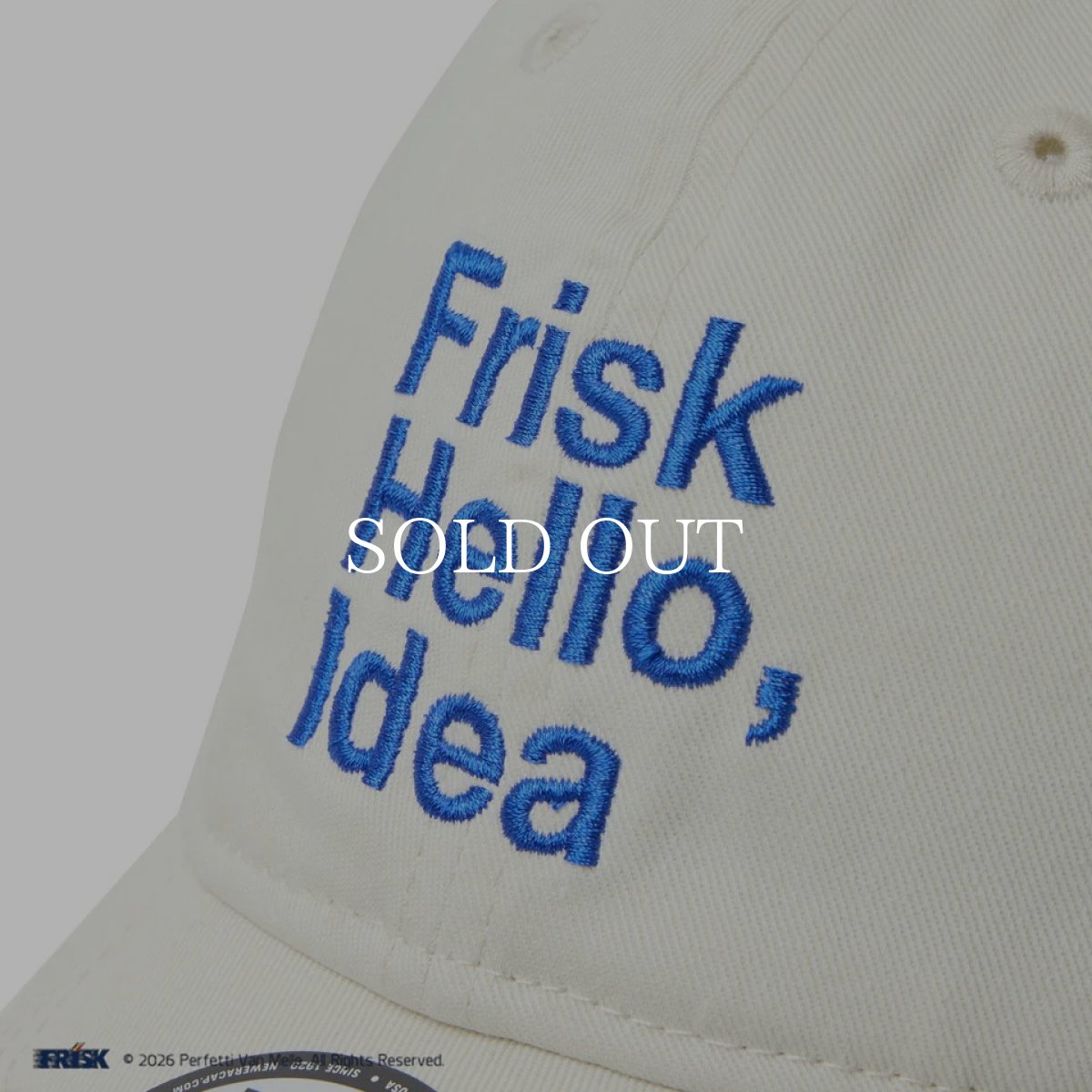 画像7: NEW ERA  9TWENTY FRISK フリスク アイボリー (7)