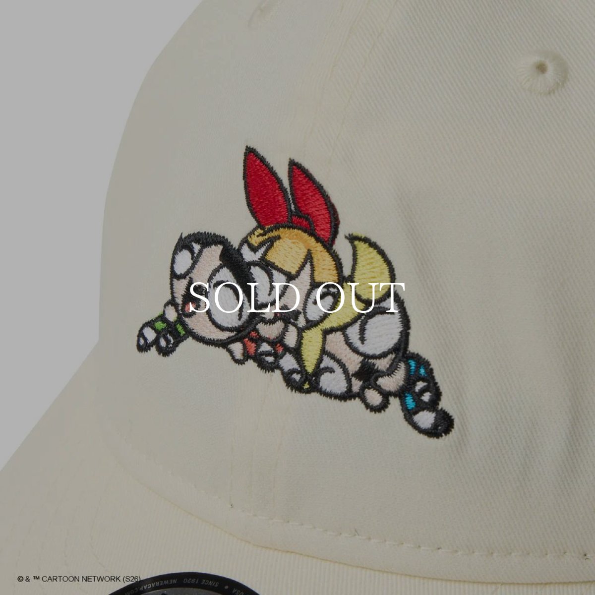 画像3: NEW ERA  9THIRTY The Powerpuff Girls パワーパフ ガールズ Jump Out クロームホワイト (3)