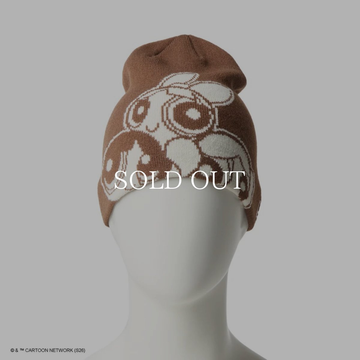 画像4: NEW ERA  ベーシックビーニー The Powerpuff Girls パワーパフ ガールズ ウォルナット (4)