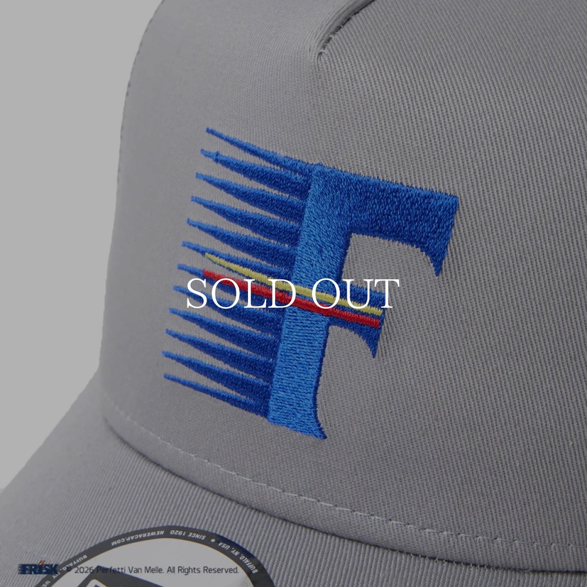 画像9: NEW ERA  9FORTY A-Frame トラッカー FRISK フリスク グレー (9)
