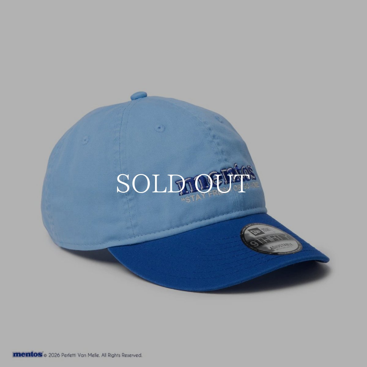 画像5: NEW ERA  9THIRTY mentos メントス 2-Tone スカイブルー/ライトロイヤル (5)