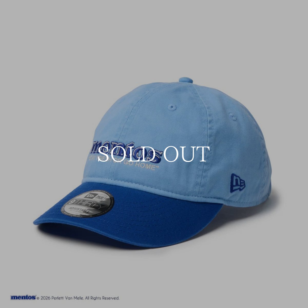 画像1: NEW ERA  9THIRTY mentos メントス 2-Tone スカイブルー/ライトロイヤル (1)