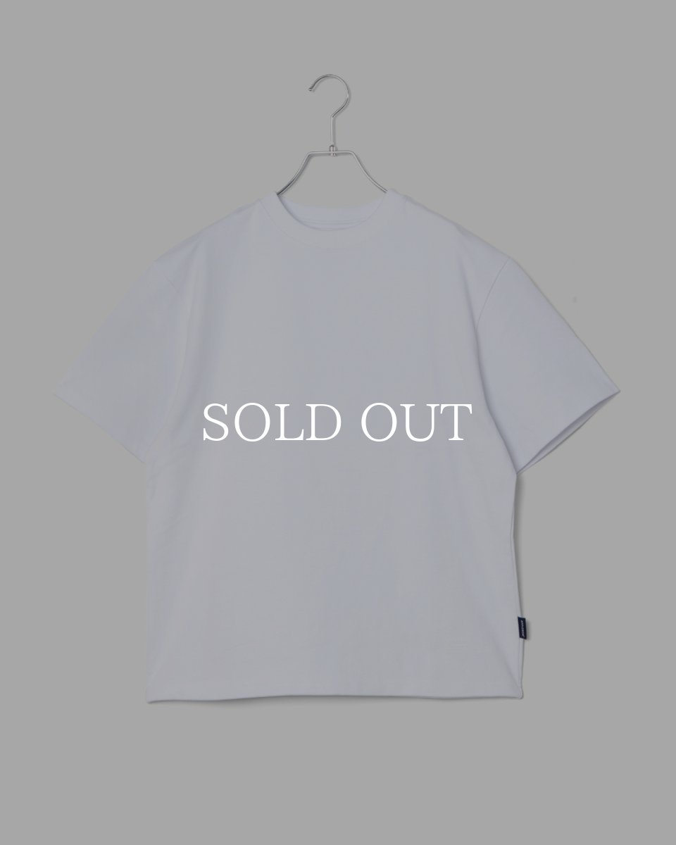 画像1: APPLEBUM  Ultra Heavyweight Blank T-shirt(2026) (1)