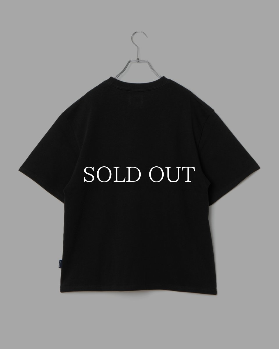 画像9: APPLEBUM  Ultra Heavyweight Blank T-shirt(2026) (9)