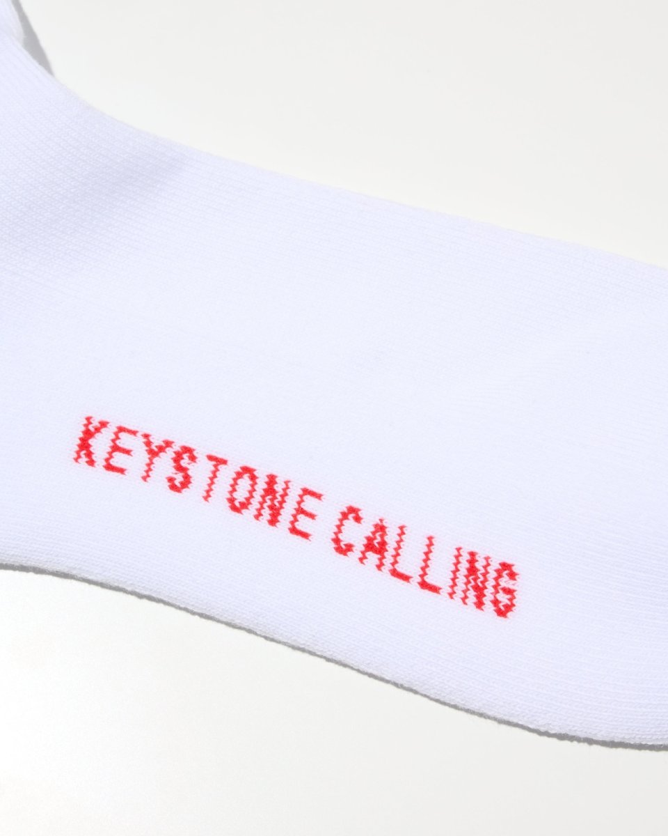 画像5: RADIALL   FLAMES - 1PAC SOX LONG / DRALON (5)