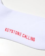 画像5: RADIALL   FLAMES - 1PAC SOX LONG / DRALON (5)