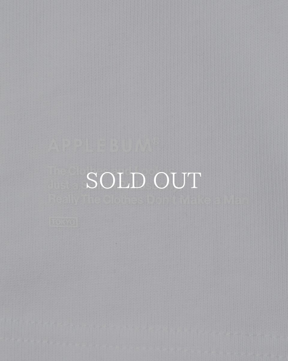 画像5: APPLEBUM  Ultra Heavyweight Blank T-shirt(2026) (5)