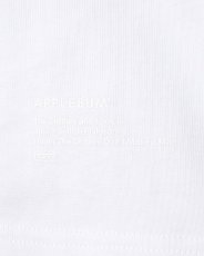 画像5: APPLEBUM  Ultra Heavyweight Blank T-shirt(2026) (5)