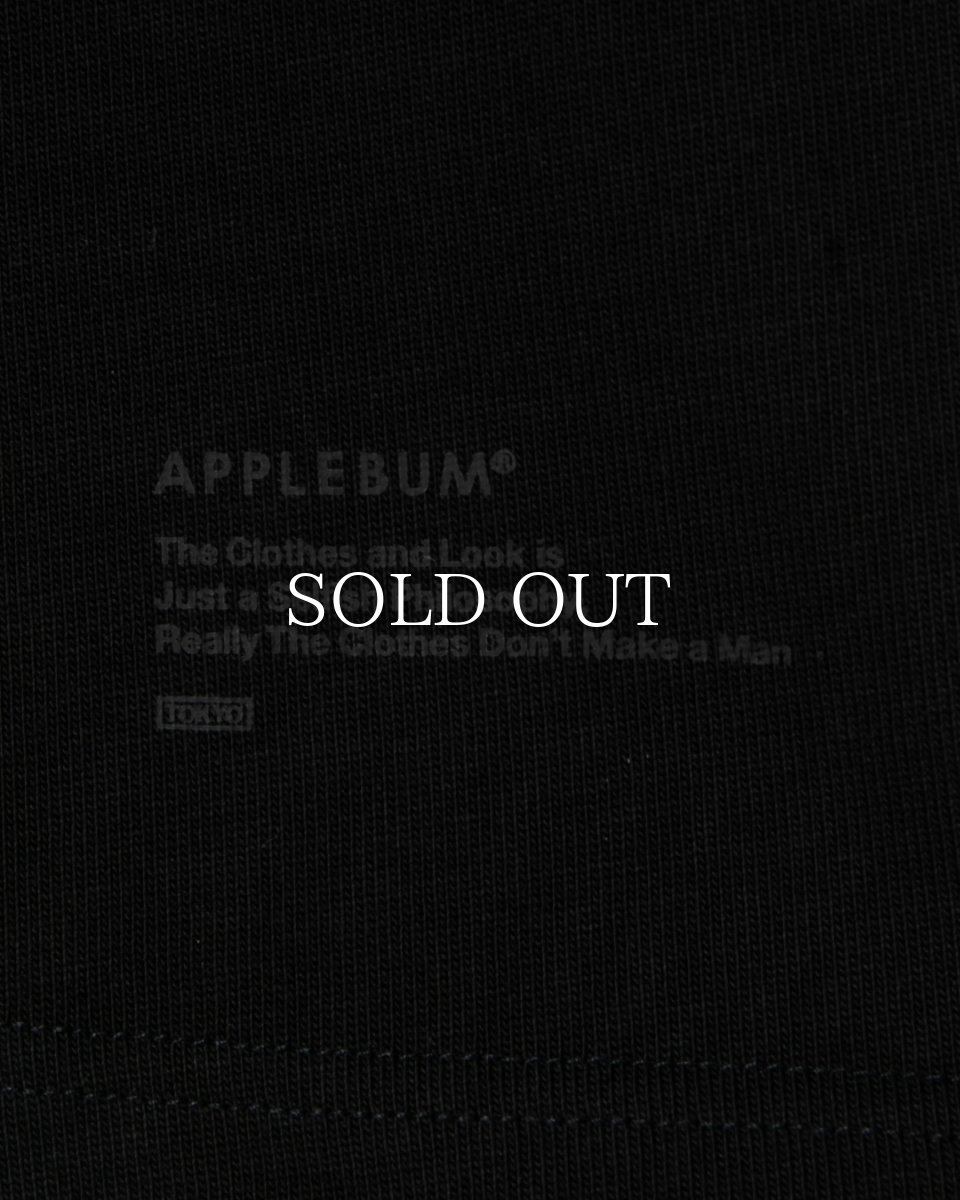 画像10: APPLEBUM  Ultra Heavyweight Blank T-shirt(2026) (10)