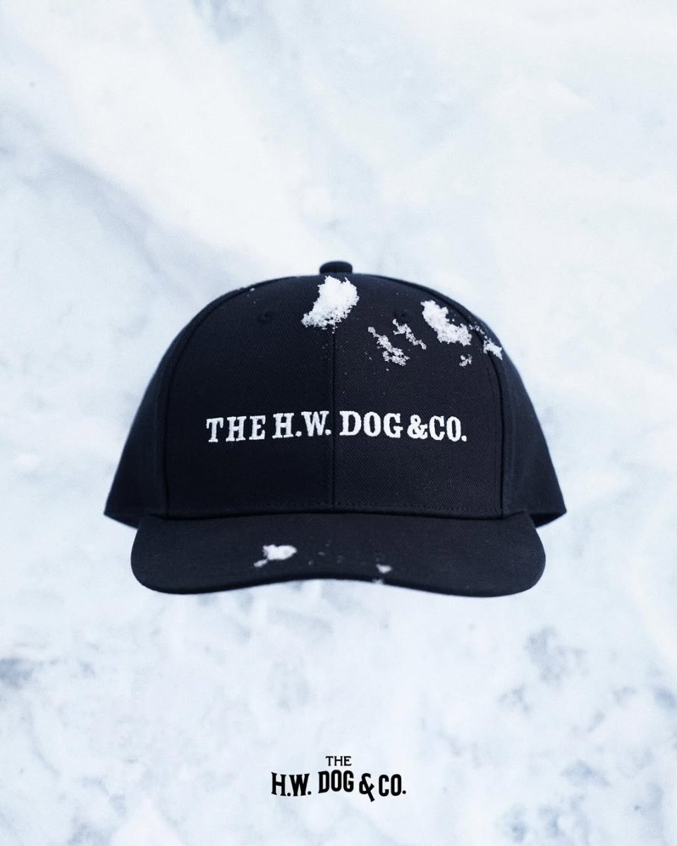 画像20: THE H.W.DOG&CO.  BOX CAP (20)