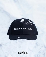 画像20: THE H.W.DOG&CO.  BOX CAP (20)
