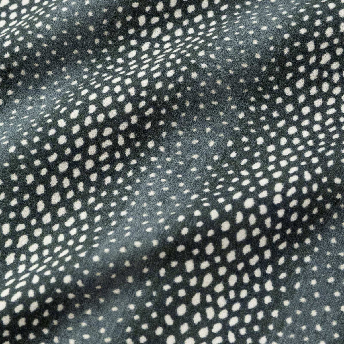 画像10: CALEE  STRIPE PATTERN SH (10)