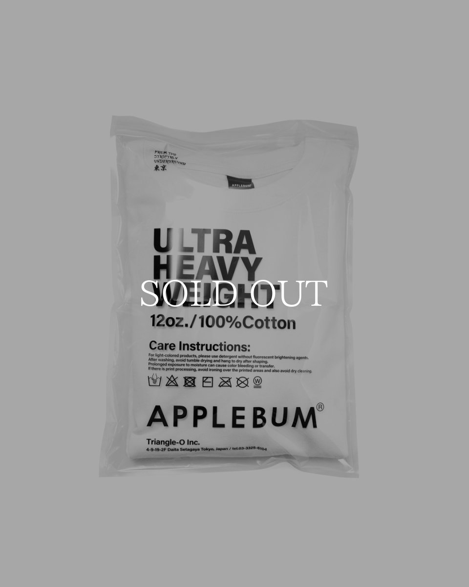 画像7: APPLEBUM  Ultra Heavyweight Blank T-shirt(2026) (7)