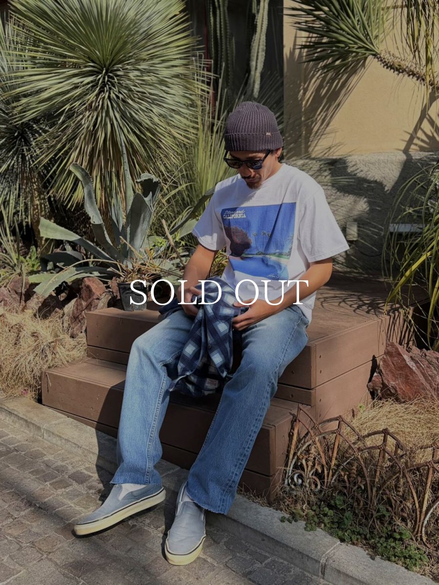 画像6: STANDARD CALIFORNIA  HIROSHI NAGAI / SD 23rd Anniv. Art T (6)