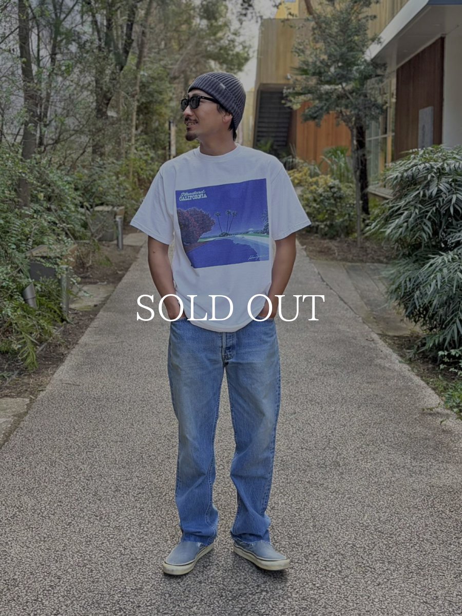 画像5: STANDARD CALIFORNIA  HIROSHI NAGAI / SD 23rd Anniv. Art T (5)