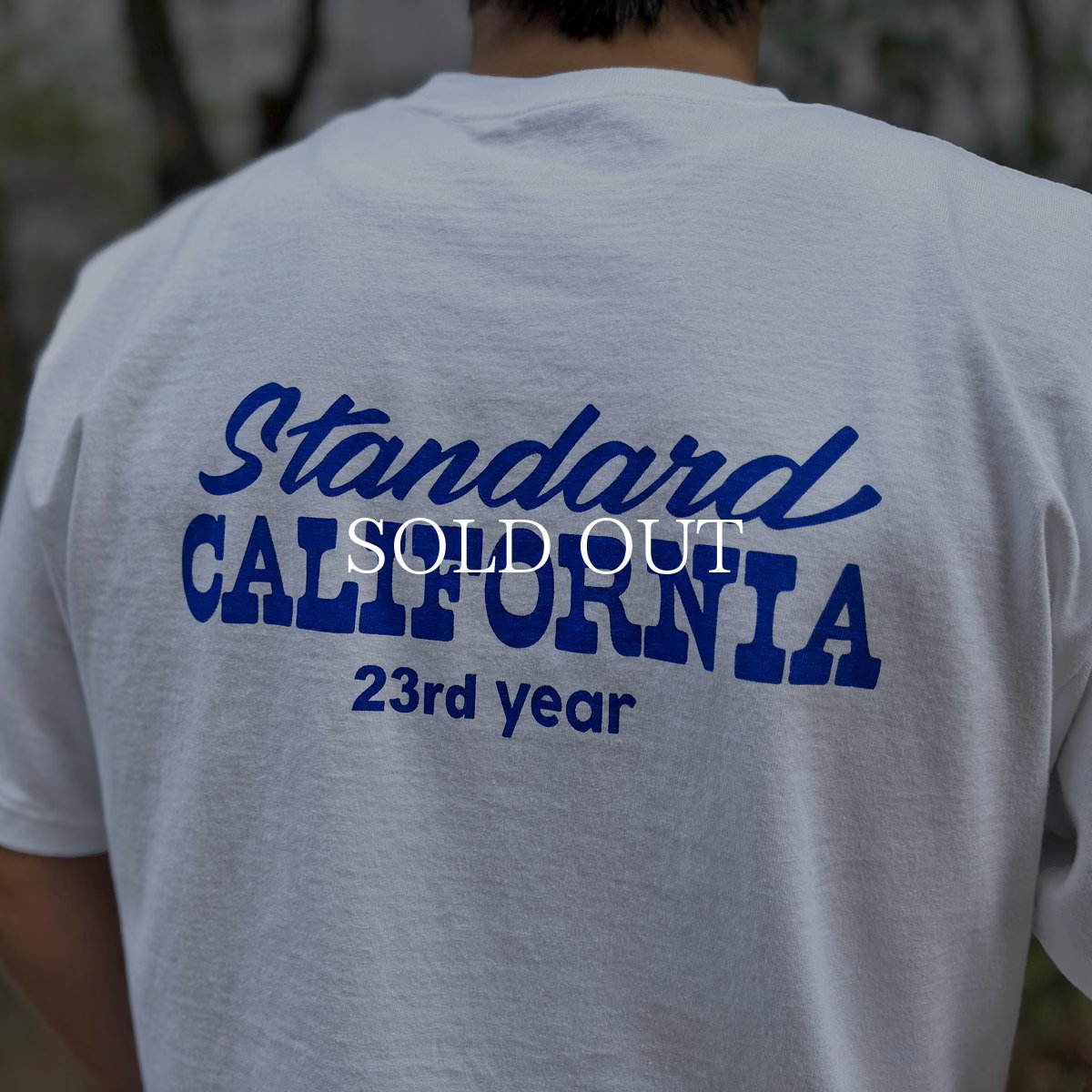 画像9: STANDARD CALIFORNIA  HIROSHI NAGAI / SD 23rd Anniv. Art T (9)