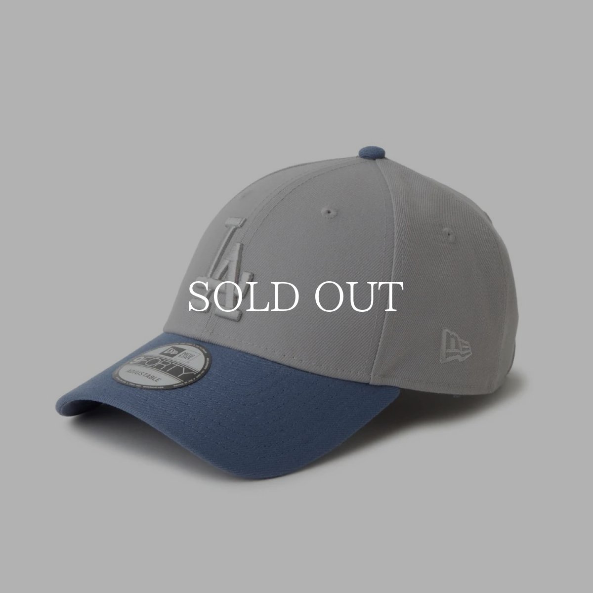 画像1: NEW ERA   9FORTY Tonal Logo ロサンゼルス・ドジャース グレー/スレート (1)