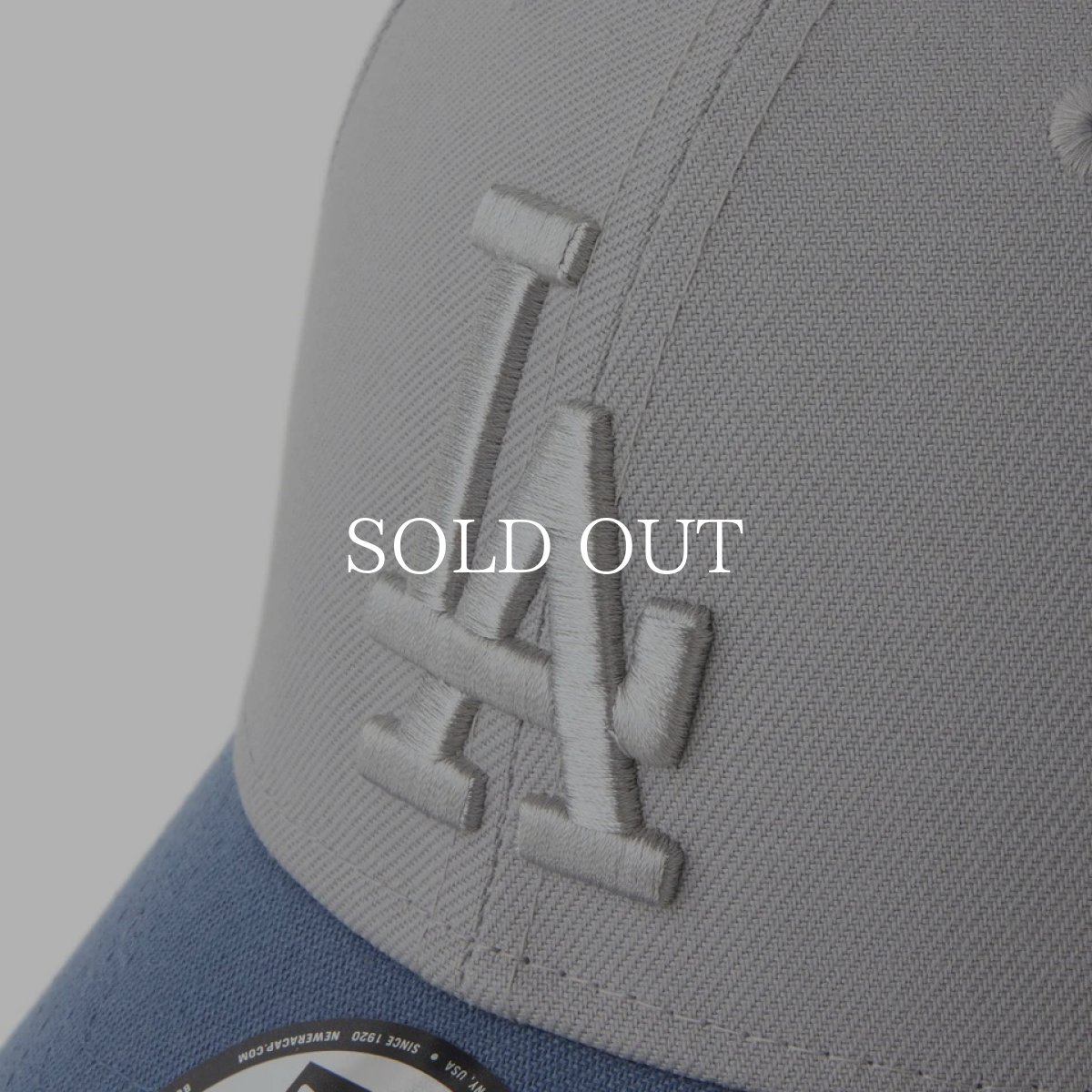 画像8: NEW ERA   9FORTY Tonal Logo ロサンゼルス・ドジャース グレー/スレート (8)