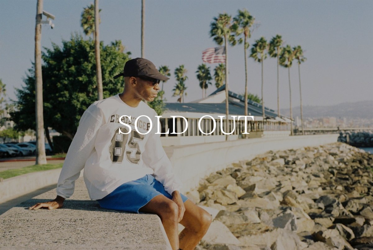 画像13: CHALLENGER  L/S NUMBERS WIND CREW (13)