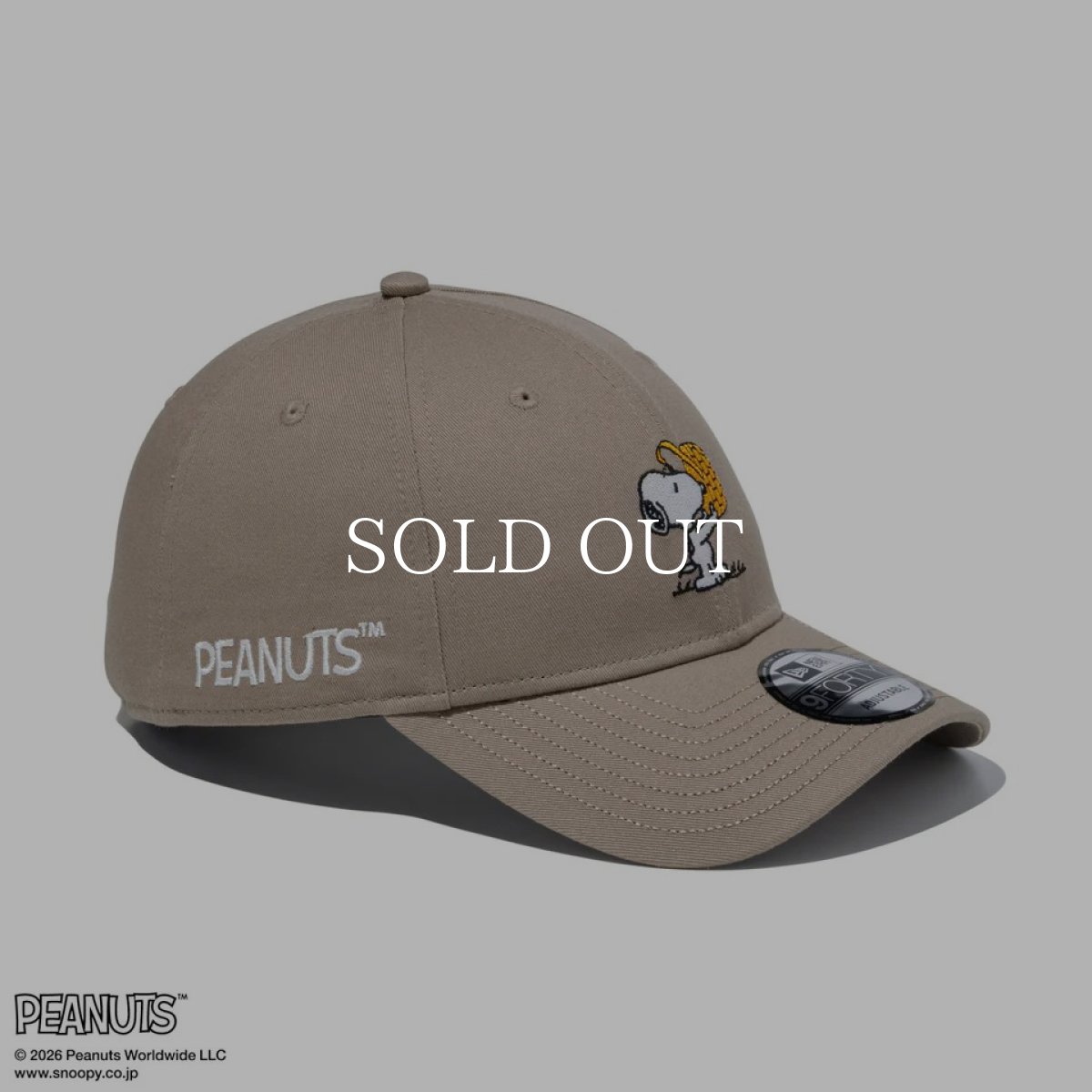 画像3: NEW ERA   9FORTY PEANUTS ピーナッツ EASTER スヌーピー ウッドストック アッシュブラウン (3)