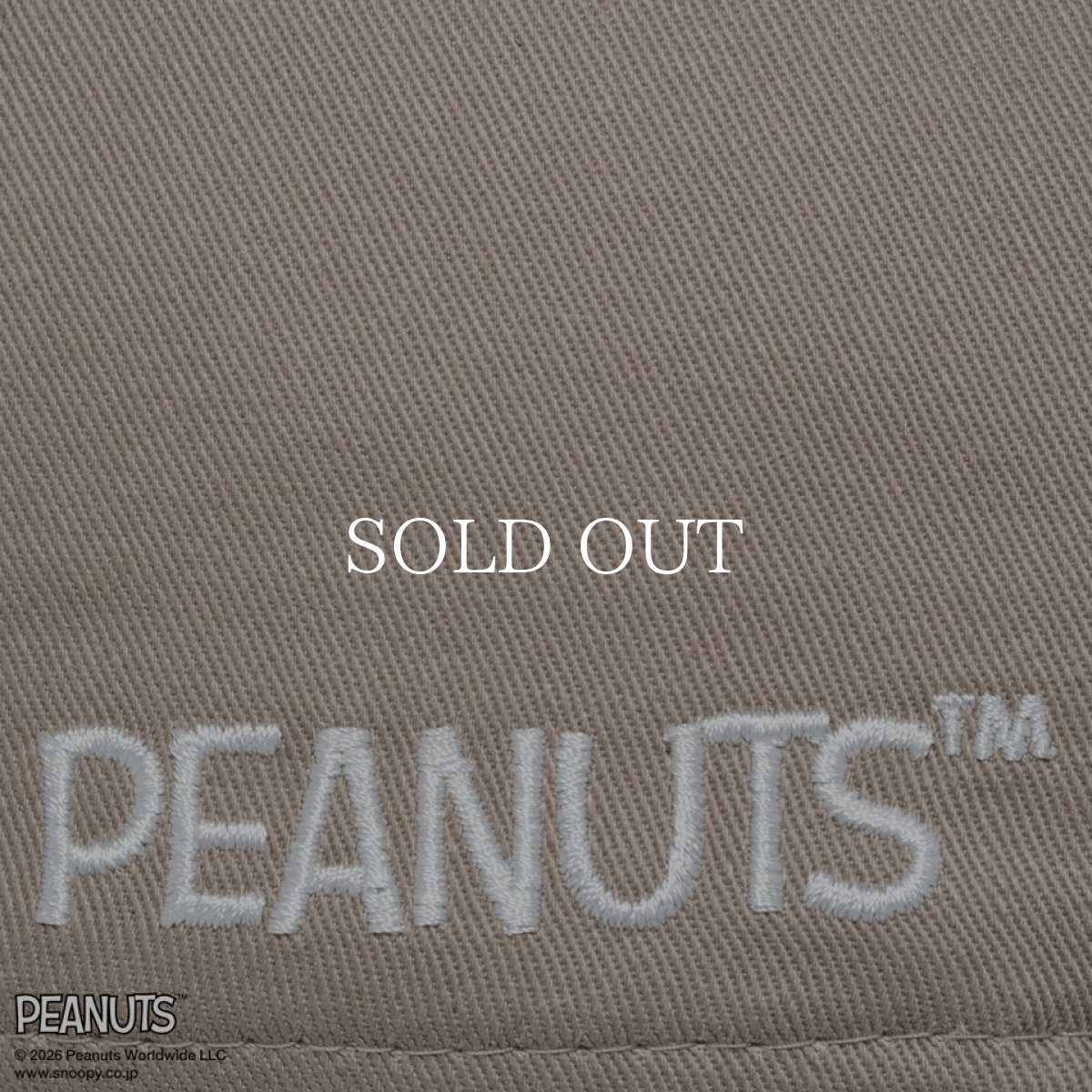 画像6: NEW ERA   9FORTY PEANUTS ピーナッツ EASTER スヌーピー ウッドストック アッシュブラウン (6)