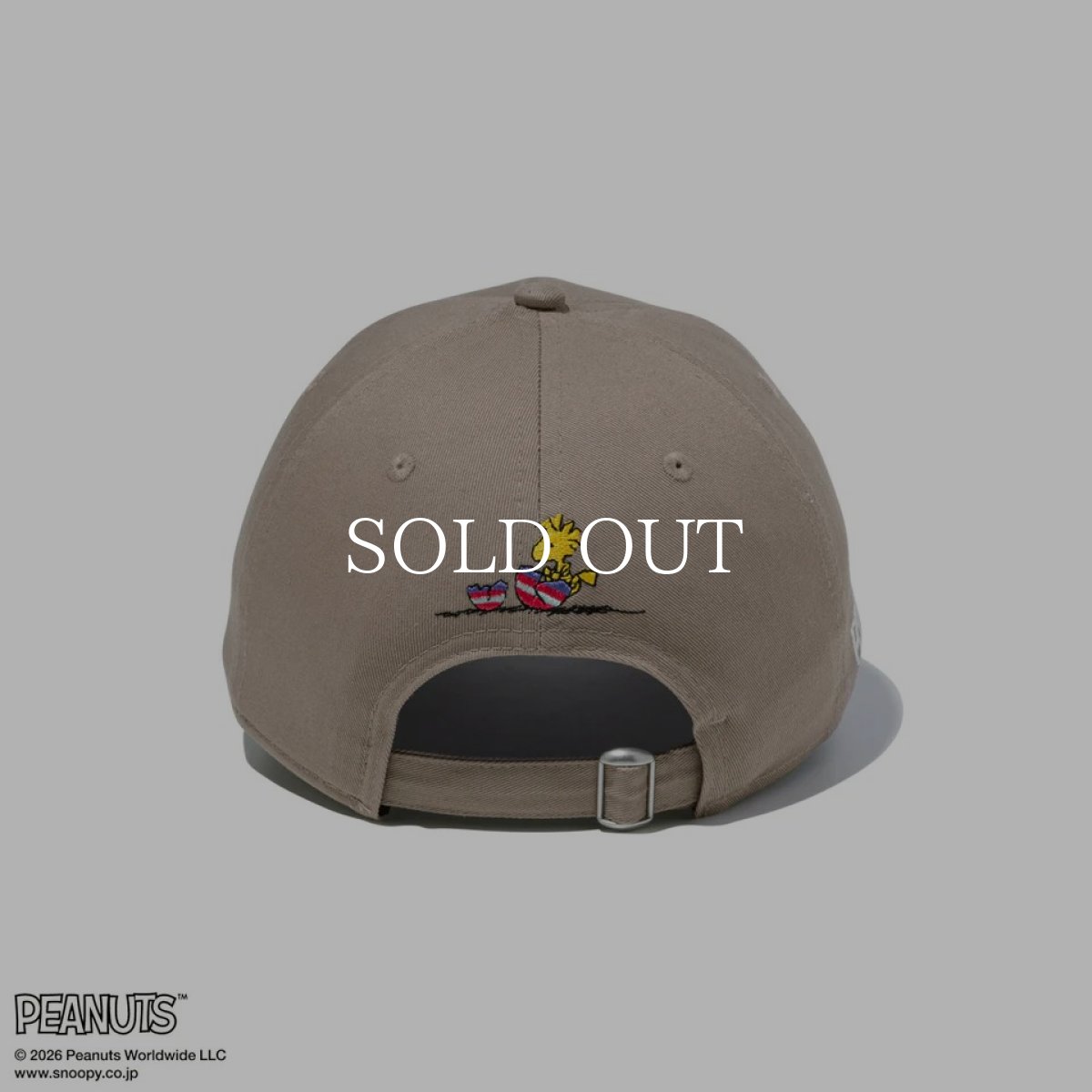 画像4: NEW ERA   9FORTY PEANUTS ピーナッツ EASTER スヌーピー ウッドストック アッシュブラウン (4)