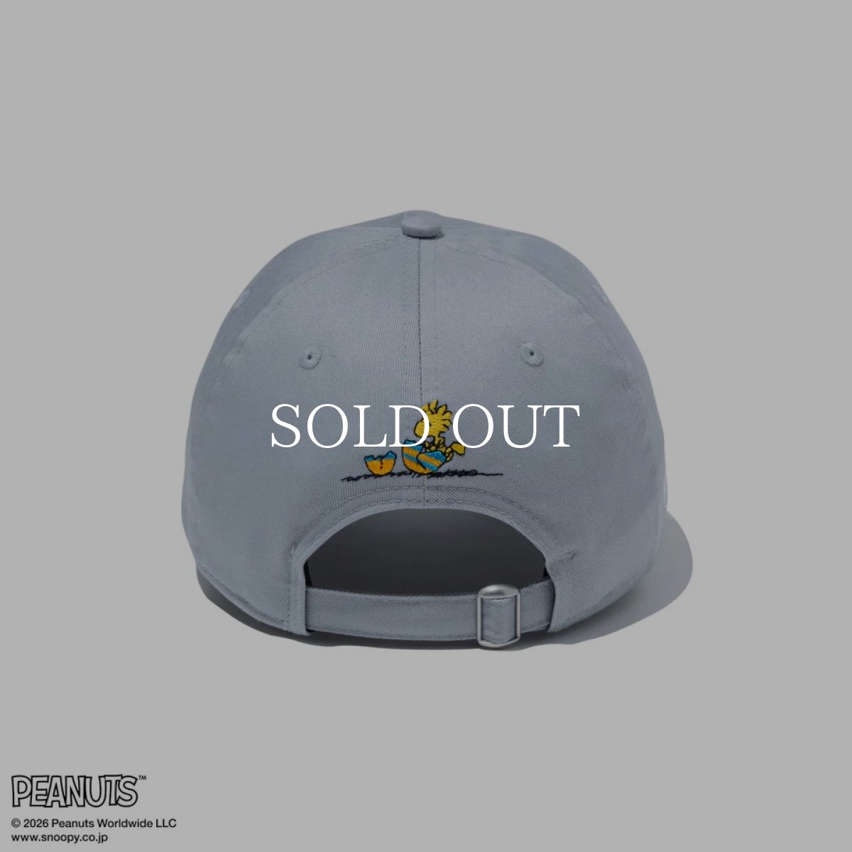 画像4: NEW ERA   9FORTY PEANUTS ピーナッツ EASTER スヌーピー ウッドストック ドルフィングレー (4)