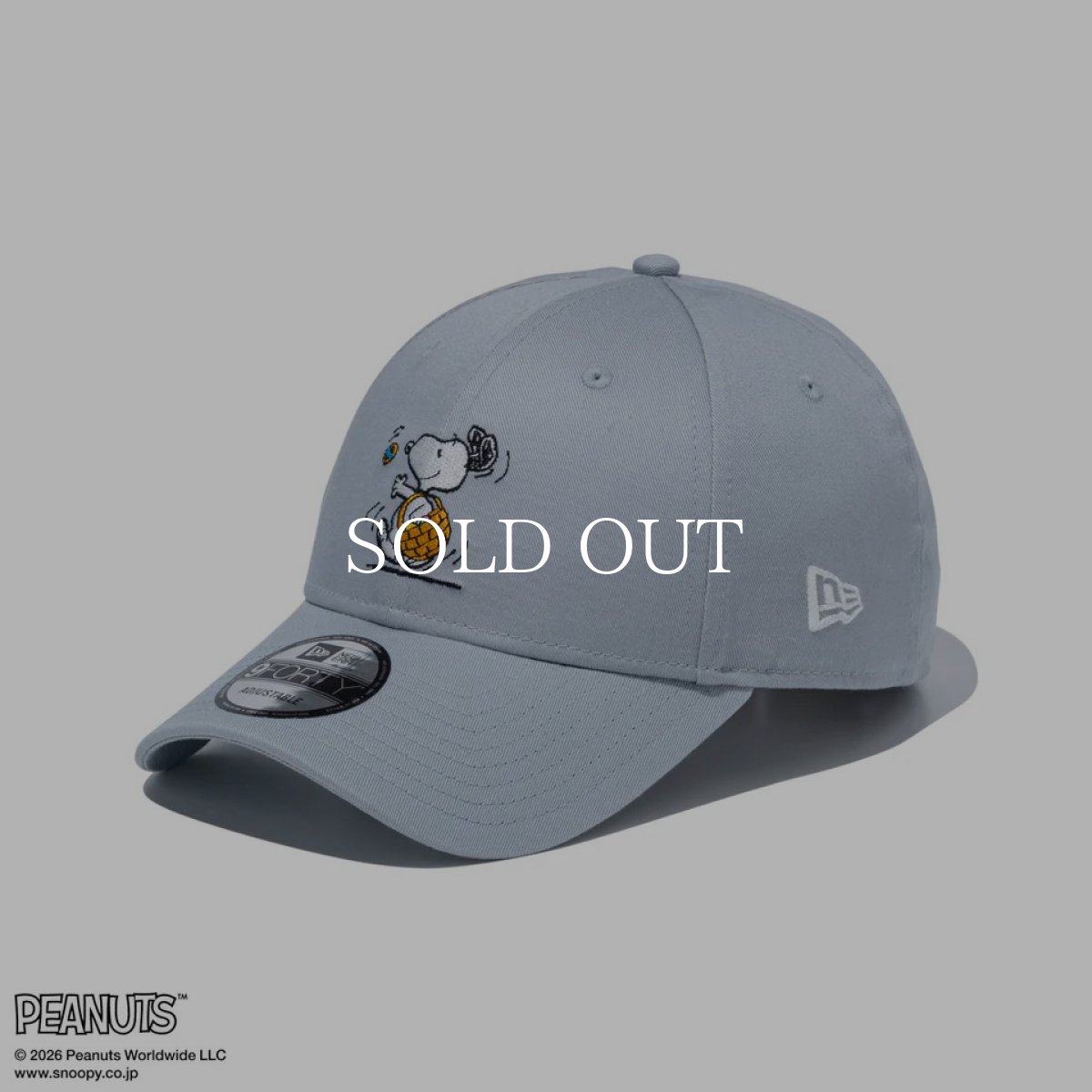 画像2: NEW ERA   9FORTY PEANUTS ピーナッツ EASTER スヌーピー ウッドストック ドルフィングレー (2)