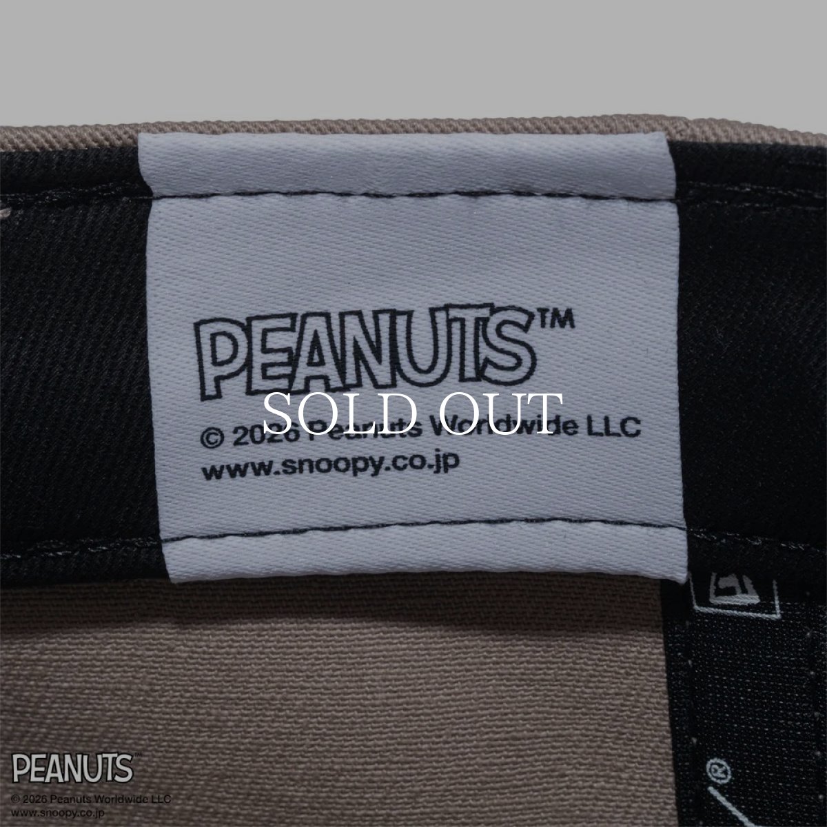 画像8: NEW ERA   9FORTY PEANUTS ピーナッツ EASTER スヌーピー ウッドストック アッシュブラウン (8)
