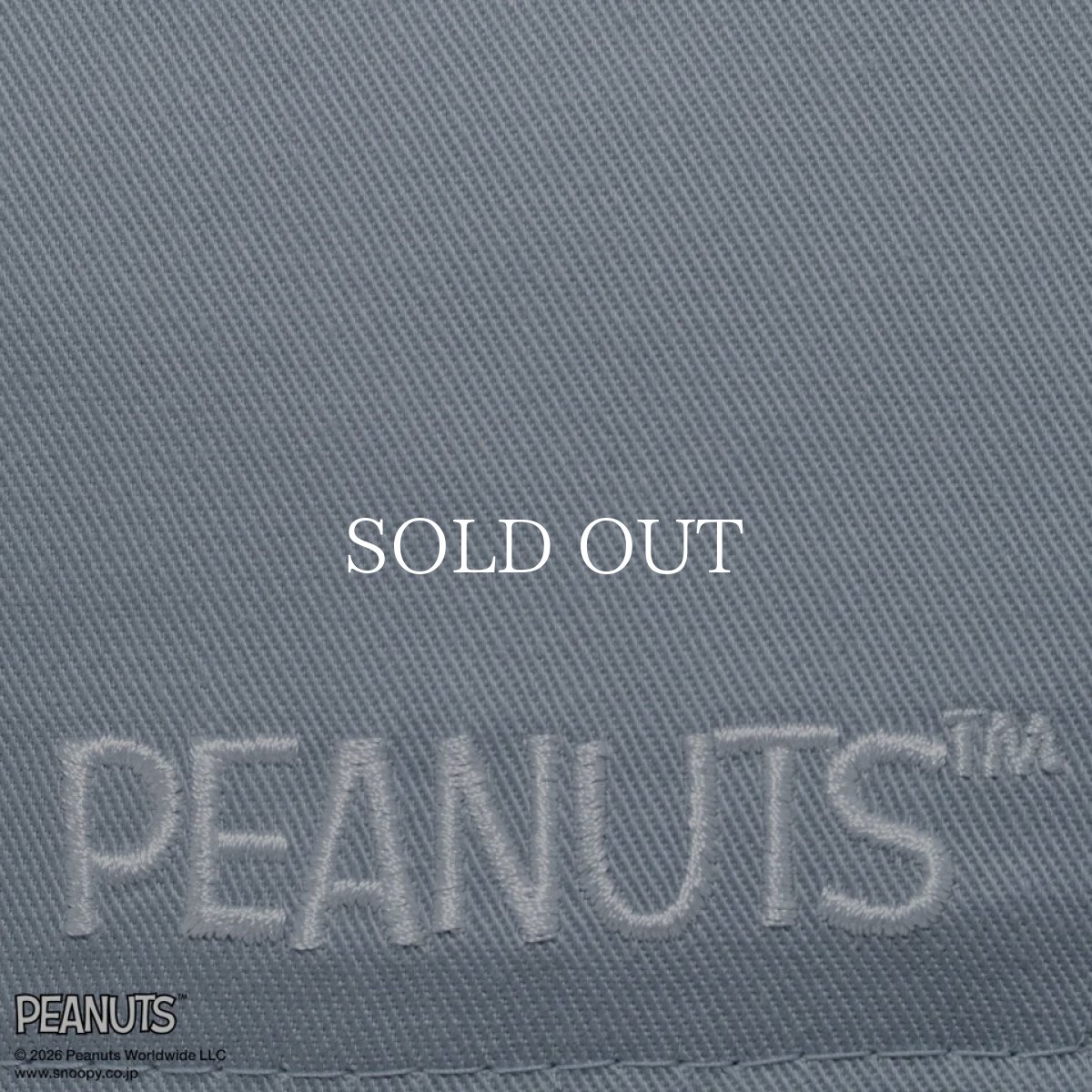 画像6: NEW ERA   9FORTY PEANUTS ピーナッツ EASTER スヌーピー ウッドストック ドルフィングレー (6)