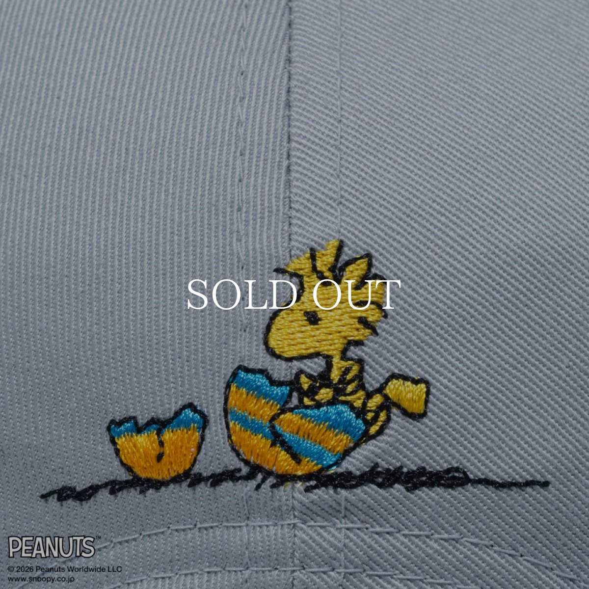 画像7: NEW ERA   9FORTY PEANUTS ピーナッツ EASTER スヌーピー ウッドストック ドルフィングレー (7)