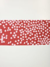 画像2: RADIALL  桜吹雪 (2)