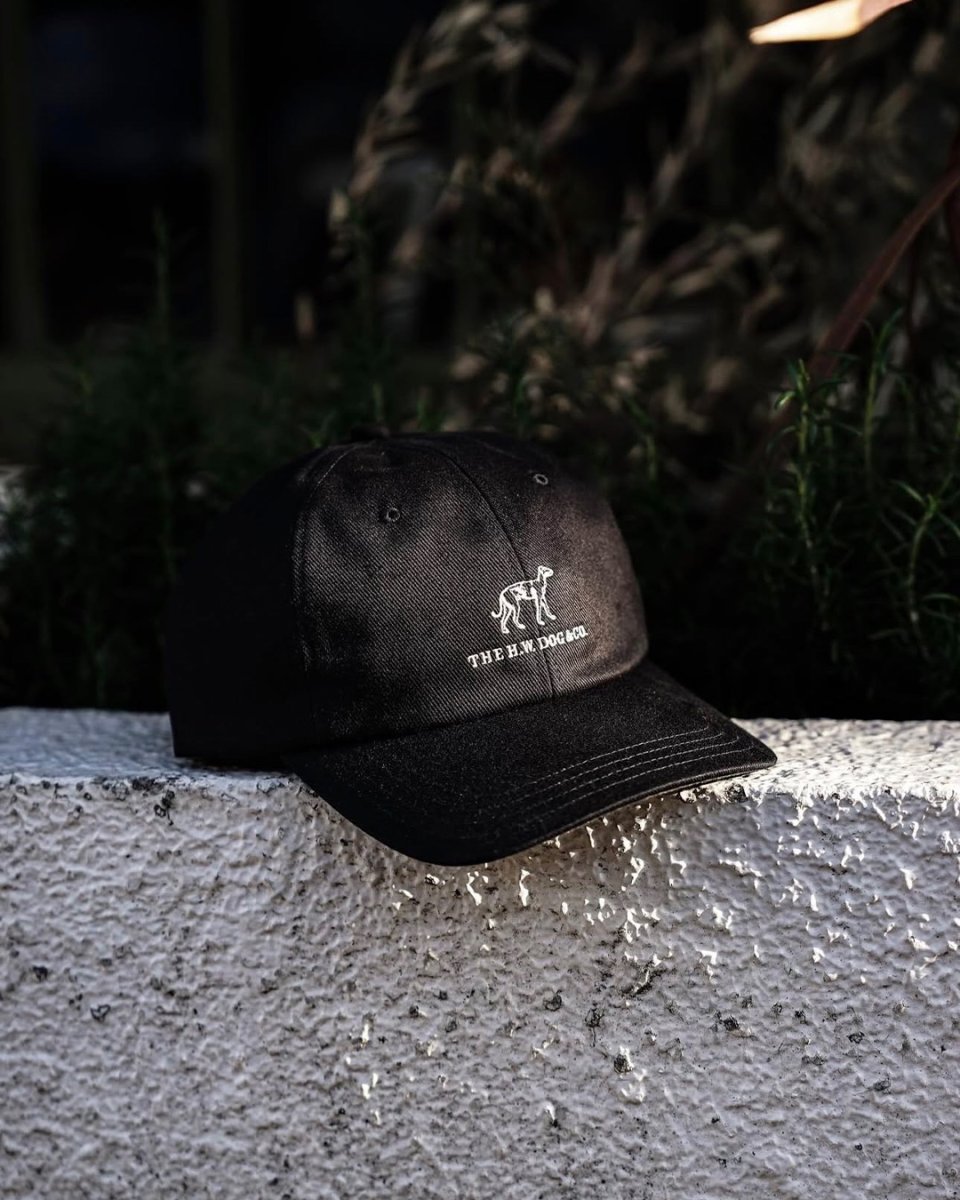 画像27: THE H.W.DOG&CO.  SMART REGULAR CAP (27)