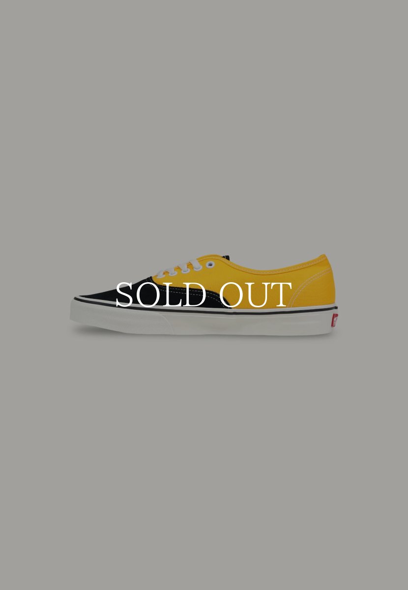 画像1: VANS  Authentic (1)