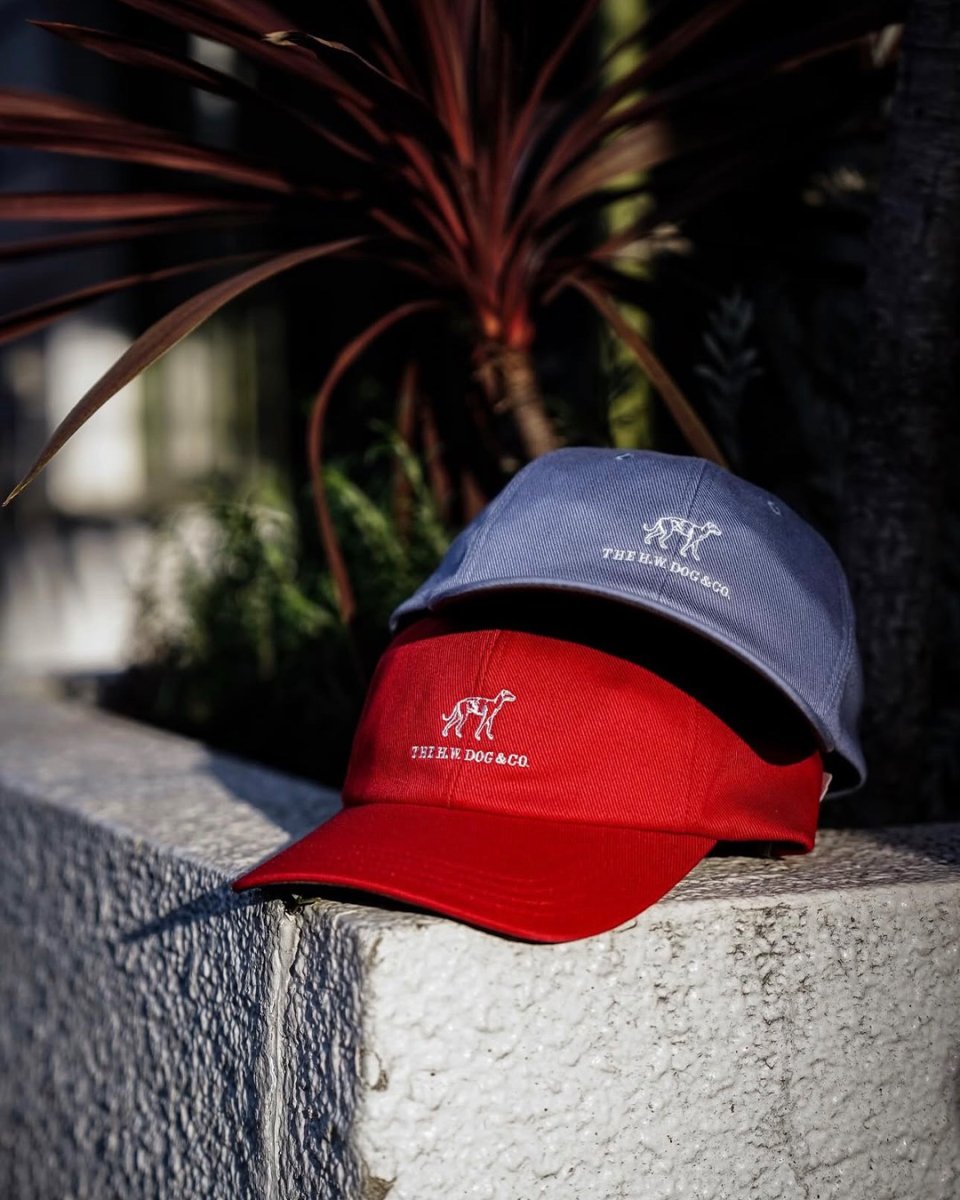 画像26: THE H.W.DOG&CO.  SMART REGULAR CAP (26)