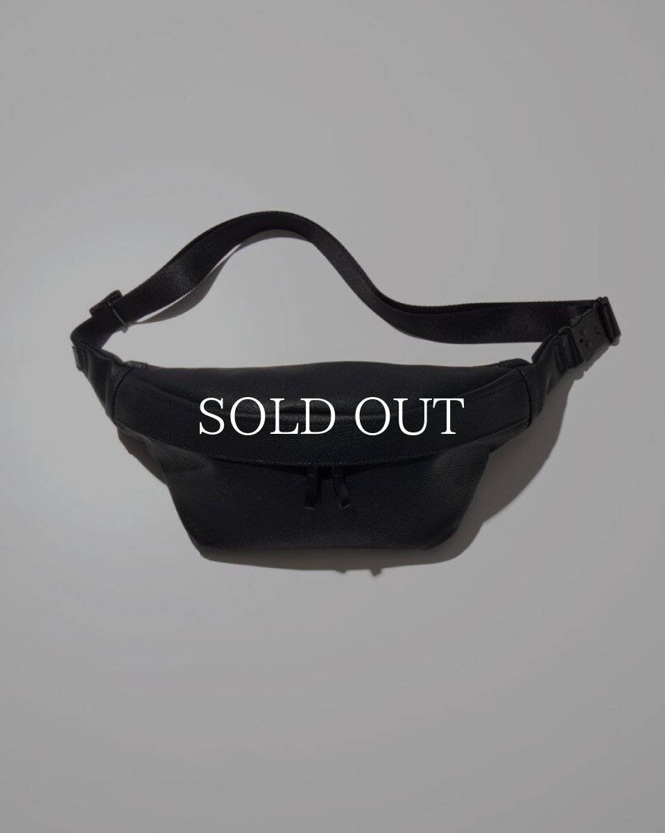 画像1: RADIALL  KAWASAKI - WAIST BAG (1)
