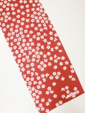 画像4: RADIALL  桜吹雪 (4)