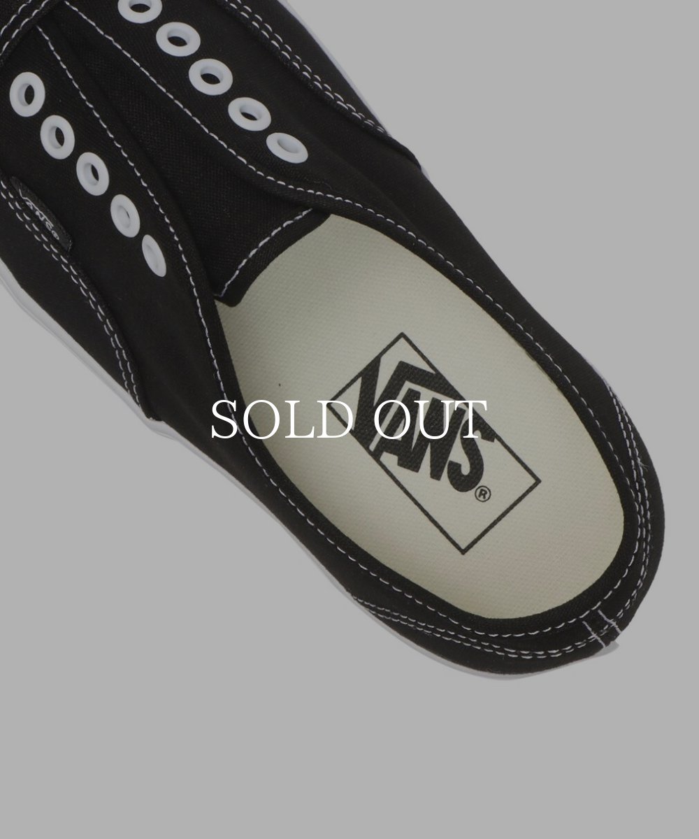 画像7: VANS  Authentic Gore (7)